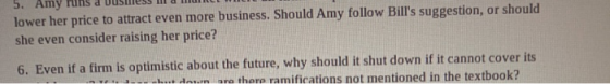 5. Amy lower her price to attract even more business. Should Amy follow Bills suggestion, or should she even consider raisin