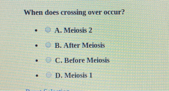 When does crossing over occur? • O A. Meiosis 2 • O B. After Meiosis SES ES EENHEDER • O C. Before Meiosis • O D. Meiosis 1