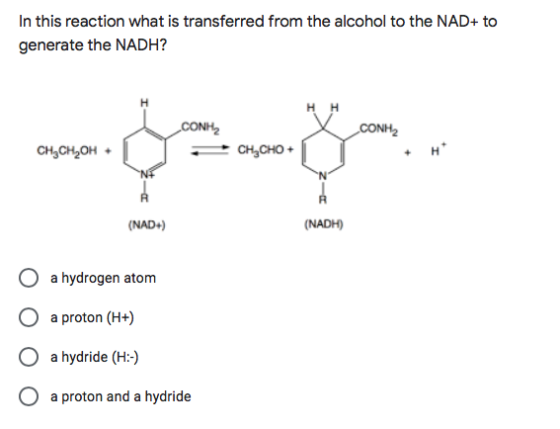In this reaction what is transferred from the alcohol to the NAD+ to generate the NADH? HH CONH2 CONH -.- снан,он + CH,CHO +