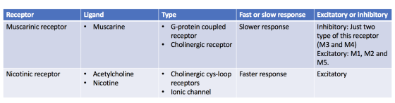 Receptor Muscarinic receptor Ligand • Muscarine | Туре • G-protein coupled receptor Cholinergic receptor Fast or slow respons