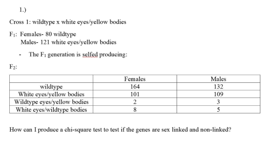 Cross 1: wildtype x white eyes/yellow bodies Fi: Females- 80 wildtype Males- 121 white eyes/yellow bodies The Fı generation is selfed producing: F2: wildtype White eyes/yellow bodies Wildtype eyes/yellow bodies White eyes/wildtype bodies Females 164 101 Males 132 109 3 How can I produce a chi-square test to test if the genes are sex linked and non-linked?