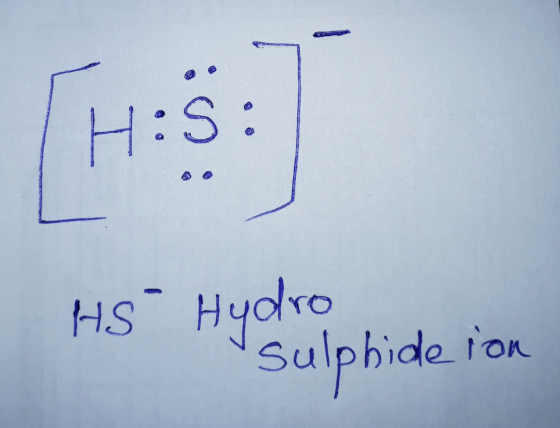 HS Hydro sulphide ion