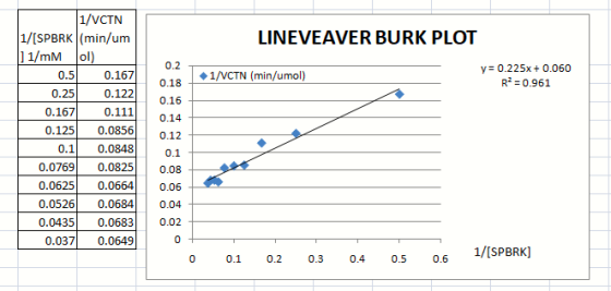 LINEVEAVER BURK PLOT iv 1/VCTN (min/umol) y = 0.225x + 0.060 R = 0.961 00 1/VCTN 1/[SPBRK (min/um ] 1/mM ol) 0.51 0.167 0.25