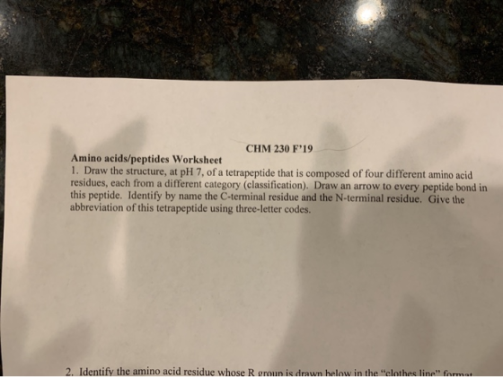 CHM 230 F19 Amino acids/peptides Worksheet 1. Draw the structure, at pH 7, of a tetrapeptide that is composed of four differ