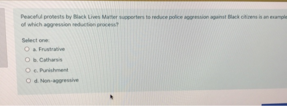 Peaceful protests by Black Lives Matter supporters to reduce police aggression against Black citizens is an example of which