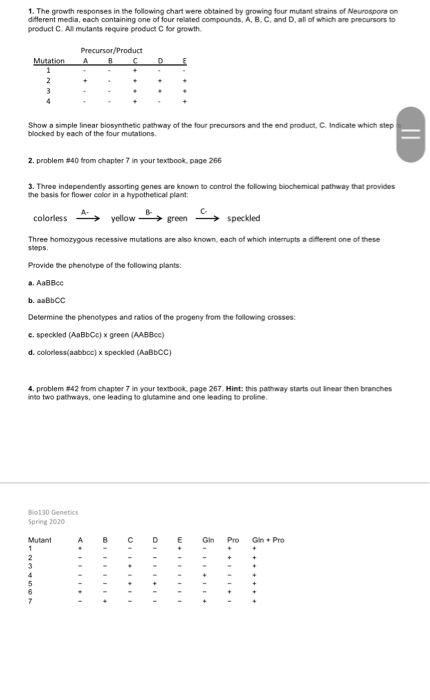 1. The growth responses in the following chart were obtained by growing four mutant strains of Neurospora on different media,
