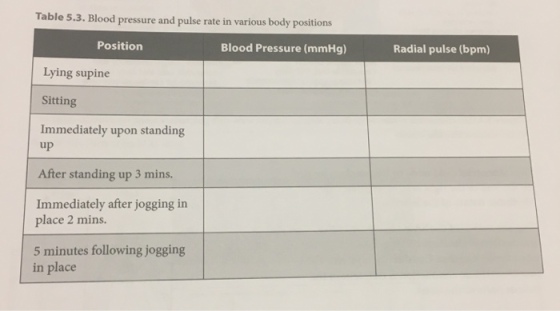 Table 5.3. Blood pressure and pulse rate in various body positions Position Blood Pressure (mmHg) Radial pulse (bpm) Lying supine Sitting Immediately upon standing up After standing up 3 mins. Immediately after jogging in place 2 mins. 5 minutes following jogging in place