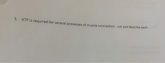 3. RIP is required for several processes of muscle contraction. List and describe each.