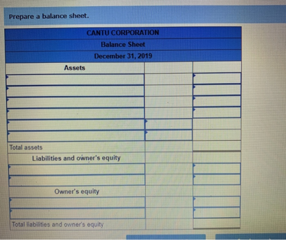 Prepare a balance sheet. CANTU CORPORATION Balance Sheet December 31, 2019 Assets Total assets Liabilities and owners equity