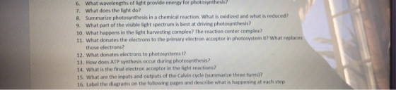6. What wavelengths of light provide energy for photosynthesis? 7. What does the light do? 8. Summarize photosynthesis in a c