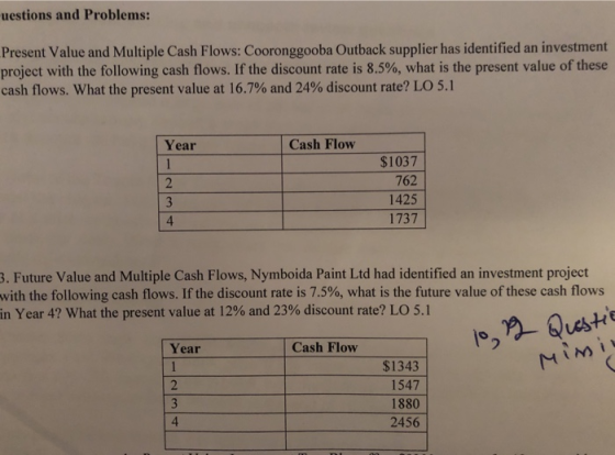 uestions and Problems: Present Value and Multiple Cash Flows: Cooronggooba Outback supplier has identified an investment proj