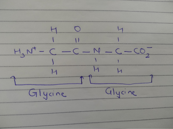 но и HN- С – С – – С. — со ни Glycine - Glycine