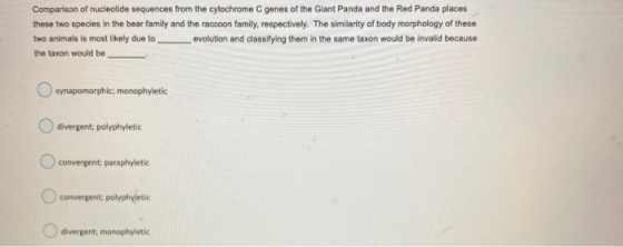 Comparison of nucleotide sequences from the cytochrome C genes of the Giant Panda and the Red Panda places these two species