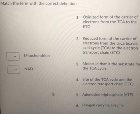 Match the term with the correct definition. 1. Oxidized form of the carrier of electrons from the TCA to the ETC 2. Reduced f