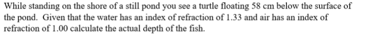 While standing on the shore of a still pond you see a turtle floating 58 cm below the surface of the pond. Given that the wat