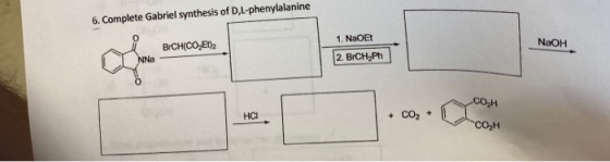 6. Complete Gabriel synthesis of D,L-phenylalanine 1 NNa BCH(CO,Et)2 1. NaOET 2. BrCH Ph NaOH сон HCI + CO2 + . CO2H
