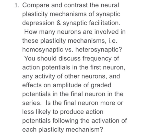 1. Compare and contrast the neural plasticity mechanisms of synaptic depression & synaptic facilitation. How many neurons are