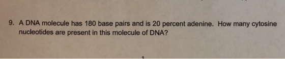 9. A DNA molecule has 180 base pairs and is 20 percent adenine. How many cytosine nucleotides are present in this molecule of DNA?