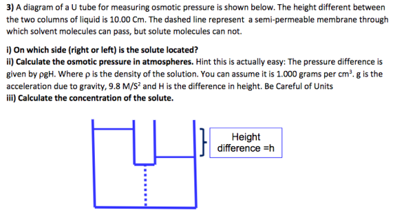 3) A diagram of a U tube for measuring osmotic pressure is shown below. The height different between the two columns of liquid is 10.00 Cm. The dashed line represent a semi-permeable membrane through which solvent molecules can pass, but solute molecules can not i) on which side (right or left) is the solute located? ii) Calculate the osmotic pressure in atmospheres. Hint this is actually easy: The pressure difference is given by pgH. Where p is the density of the solution. You can assume it is 1.000 grams per cm3. g is the acceleration due to gravity, 9.8 M/S2 and His the difference in height. Be Careful of Units iii) Calculate the concentration of the solute. Height J difference -h L