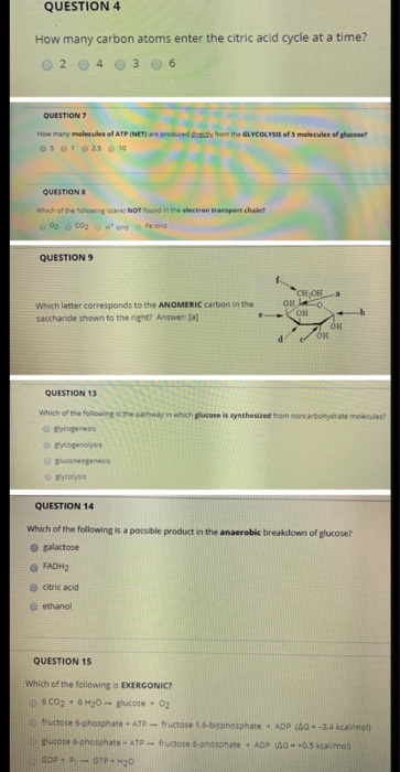 QUESTION 4 How many carbon atoms enter the citric acid cycle at a time? 2 4 3 6 QUESTION 7 How many molecules of ATP (NET) ar