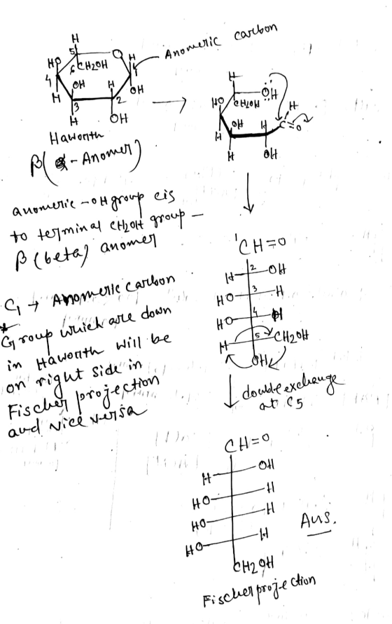 carbon H Anomeric 42CH2OH 4 s to I VOH -OH 312 > . OH H Haworth HO/CHLON */H MOHIYA Bl - Anomer). The L a t Quomeric -OH gr