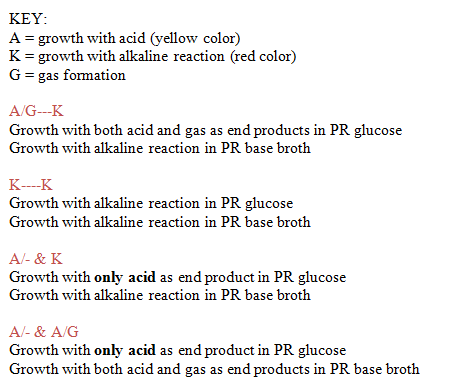 KEY: A = growth with acid (yellow color) K = growth with alkaline reaction (red color) G=gas formation A/G-K Growth with both