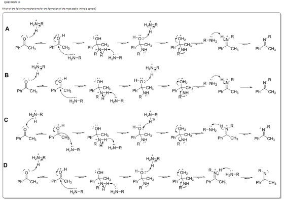 QUESTION 14 Which of the following mechanisms for the formation of the most stable imine is correct? H2NER H2NER A 16 іон, HU