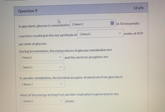 Question 9 12 pts In glycolysis, glucose is converted to [Select] in 10 enzymatic Toalet reactions resulting in the net synth