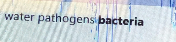 water pathogens bacteria