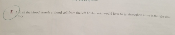 3. Lidt all the blood vessels a blood cell from the left fibular vein would have to go through to arive in the right ua blood
