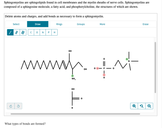 Sphingomyelins are sphingolipids found in cell membranes and the myelin sheaths of nerve cells. Sphingomyelins are composed o