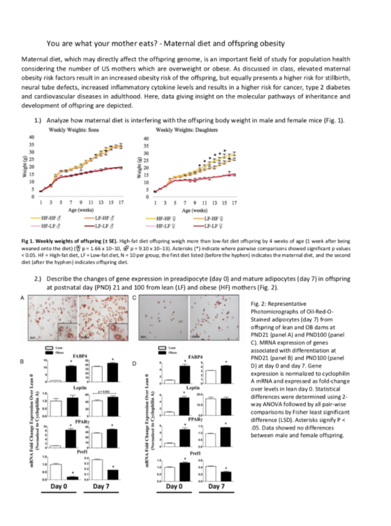 You are what your mother eats? -Maternal diet and offspring obesity Maternal diet, which may directly affect the offspring ge