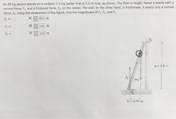 An 85 kg person stands on a uniform 7.5-kg ladder