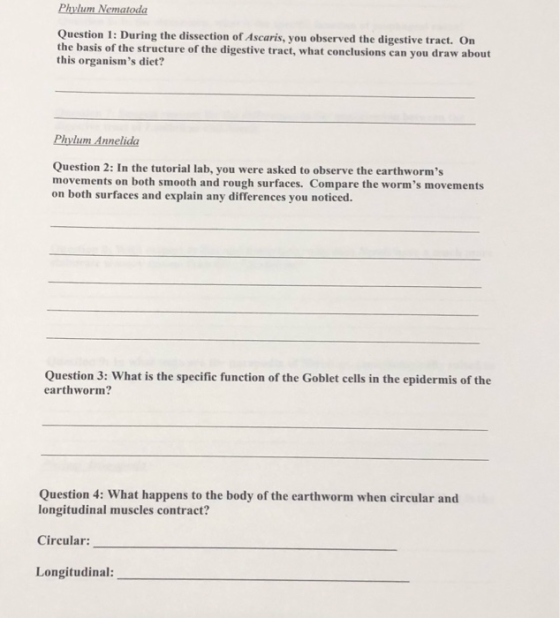 Phylum Nematoda Question 1: During the dissection of Ascaris, you observed the digestive tract. On the basis of the structure