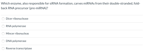 Which enzyme, also responsible for siRNA formation, carves miRNAs from their double-stranded, fold- back RNA precursor (pre-m