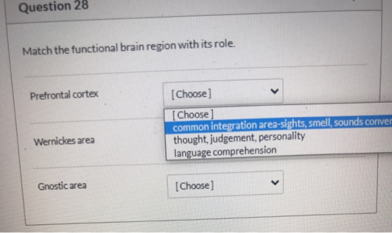 Question 28 Match the functional brain region with its role. Prefrontal cortex [Choose] Choose) common integration area-sight