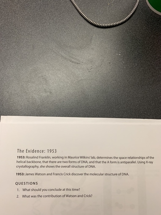 233333333333333333 The Evidence: 1953 1953: Rosalind Franklin, working in Maurice Wilkinslab, determines the space relations
