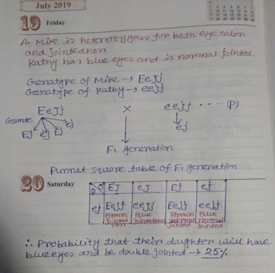 July 2019 9 10 11 12 13 14 16 17 18 19 20 21 23 24 25 26 27 28 19 Friday A. Mike is heterozygous for both eye color and Joint