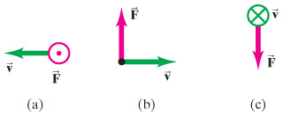(b)