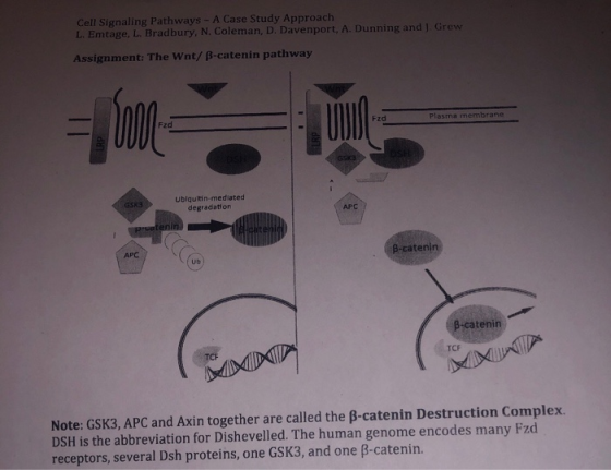 Cell Signaling Pathways - A Case Study Approach L. Emtage, L. Bradbury, N. Coleman, D. Davenport, A. Dunning and I Grew Assig