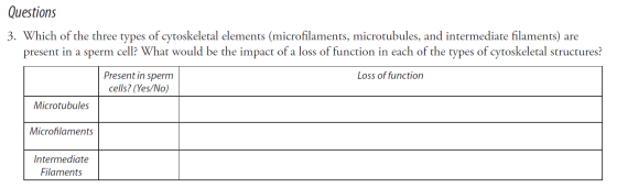 Questions 3. Which of the three types of cytoskeletal elements (microfilaments, microtubules, and intermediate filaments) are