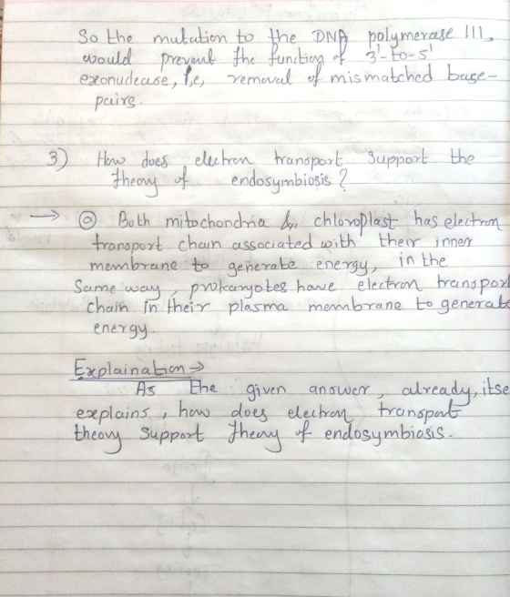 So the mutation to the DNA polymerase II would prevent the function of 3-to-5 exonudeuse, be removal of mismatched base- pai