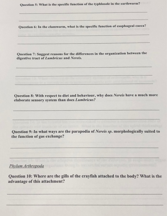 Question 5: What is the specific function of the typhlosole in the earthworm? Question 6: In the clamworm, what is the specif