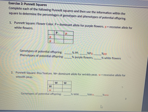 Exercise 2: Punnett Squares Complete each of the following Punnett squares and then use the information within the square to