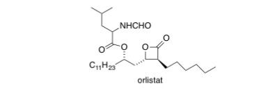 The anti-obesity drug orlistat inhibits pancreatic