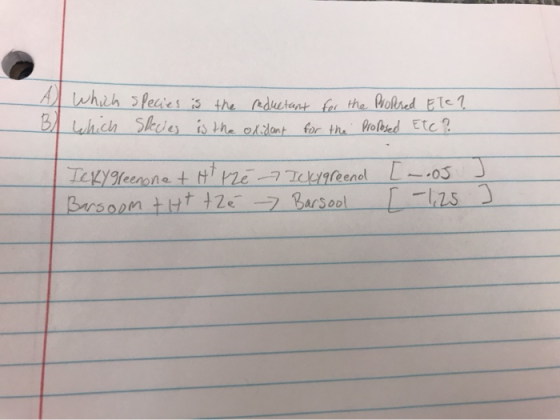 A whih Peaes s the rduetant f the Molsed Ele1 B which Skdes is the odant for th Proleed Etc? LeLYeeone + H ze7eYreendl LOS Br