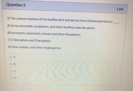 Question 3 1 pts 3) The closest relatives of the familiar pine and spruce trees (Gymnosperms) are A) ferns, horsetails, Iycop