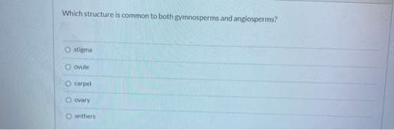 Which structure is common to both gymnosperms and angiosperms? stigma ovule O carpel ovary anthers