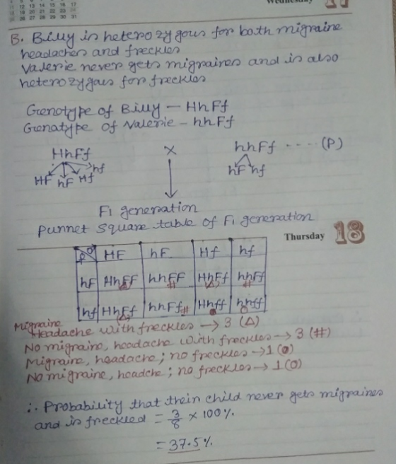 12 13 14 15 16 17 wunny B. Billy in heterozygous for both migraine headlacher and freckles varerie never gets migraines and i