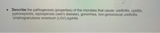 • Describe the pathogenesis (properties) of the microbes that cause: urethritis, cystitis, pyelonephritis, leptospirosis (wei